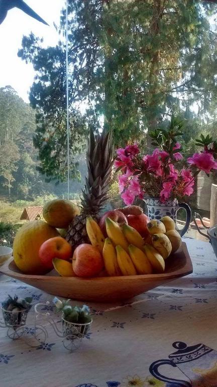 Morada Rancho Da Lua Bed and Breakfast Monte Verde  Exteriör bild
